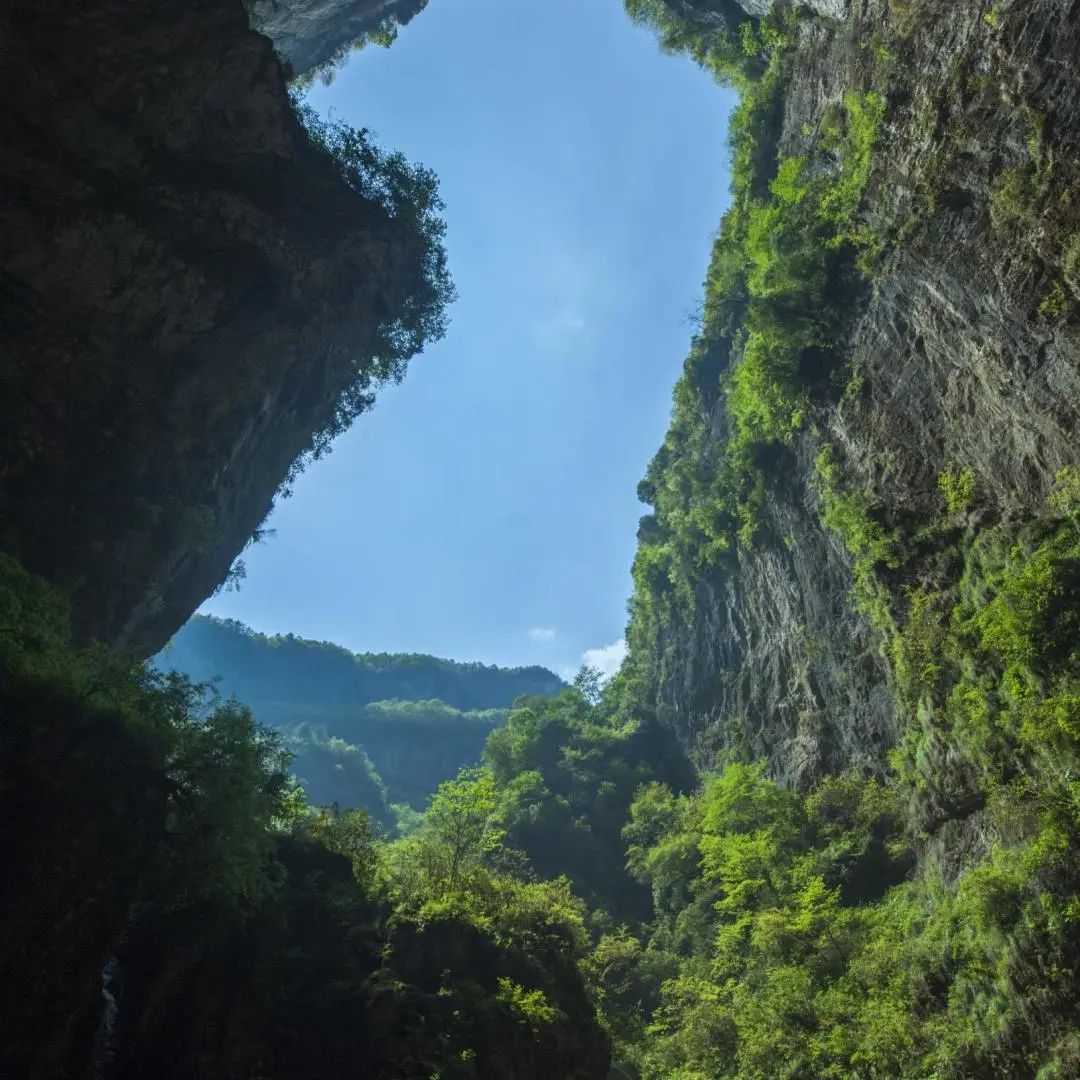 國際聯(lián)合科考隊再次來漢中！只為→