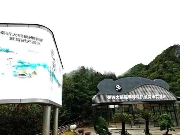 全國精品！漢中入選