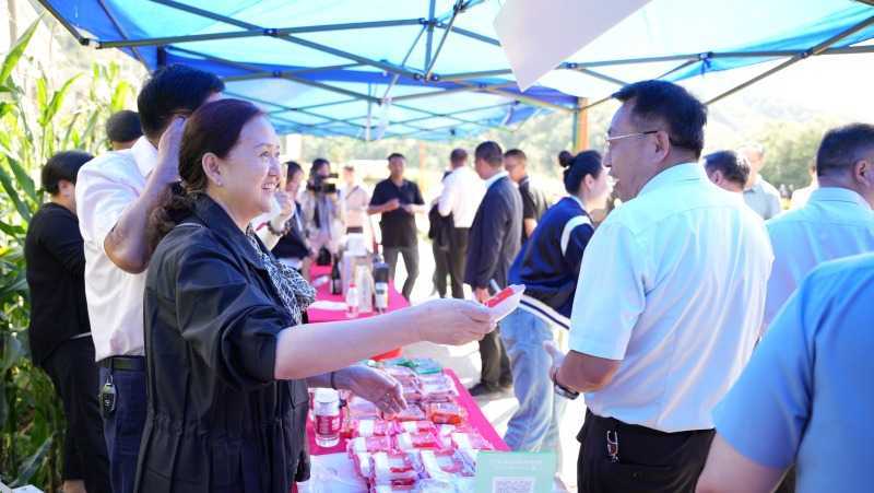 慶豐收，促和美 | 略陽縣第六屆中國農(nóng)民豐收節(jié)開幕