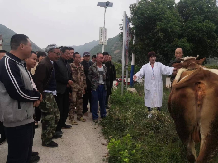 城固殘聯(lián)多措并舉精準施策，穩(wěn)步推進殘疾人事業(yè)發(fā)展