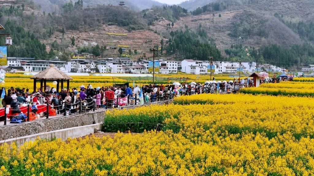 鎮(zhèn)巴春日盛宴旅游攻略，讓這個春天不留遺憾！