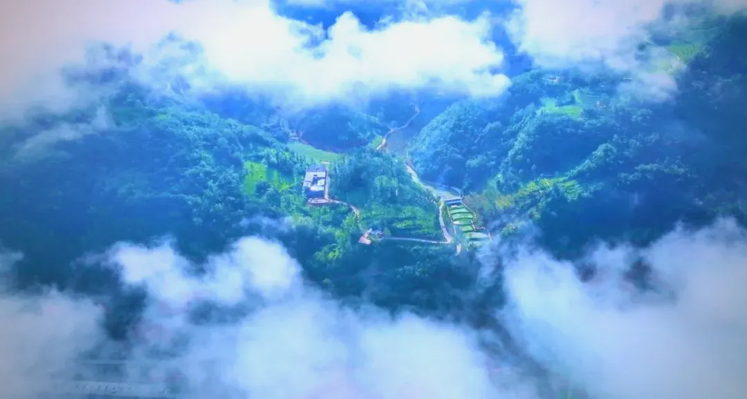 茶旅新地標(biāo)！楮溪源景區(qū)帶你開啟茶旅融合新體驗(yàn)！
