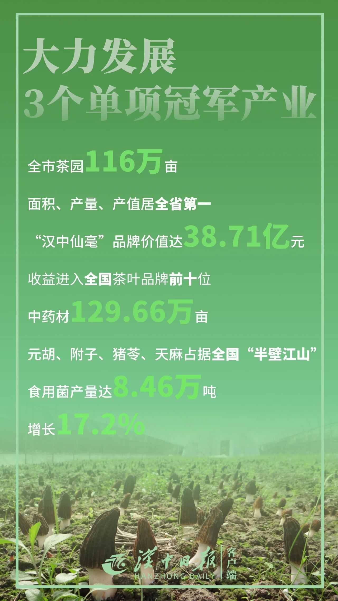 驕傲！帶你直擊漢中“成績單”！