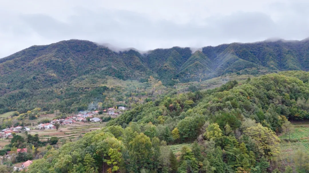漢中黎坪八大碗：一口非遺宴席，藏著整座山的煙火人情