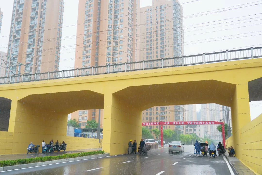出行方便了！漢中興漢新區(qū)惠府路主車道通車！