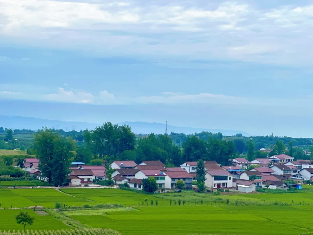 迷上土地里“淘金”！漢臺(tái)村支書(shū)的第二十一次“實(shí)驗(yàn)”→