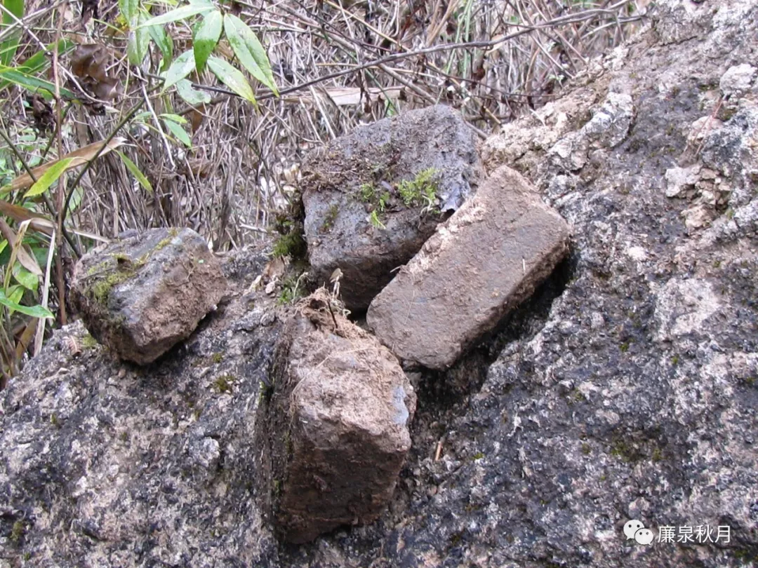 穿越時空的千年蜀道——米倉古道