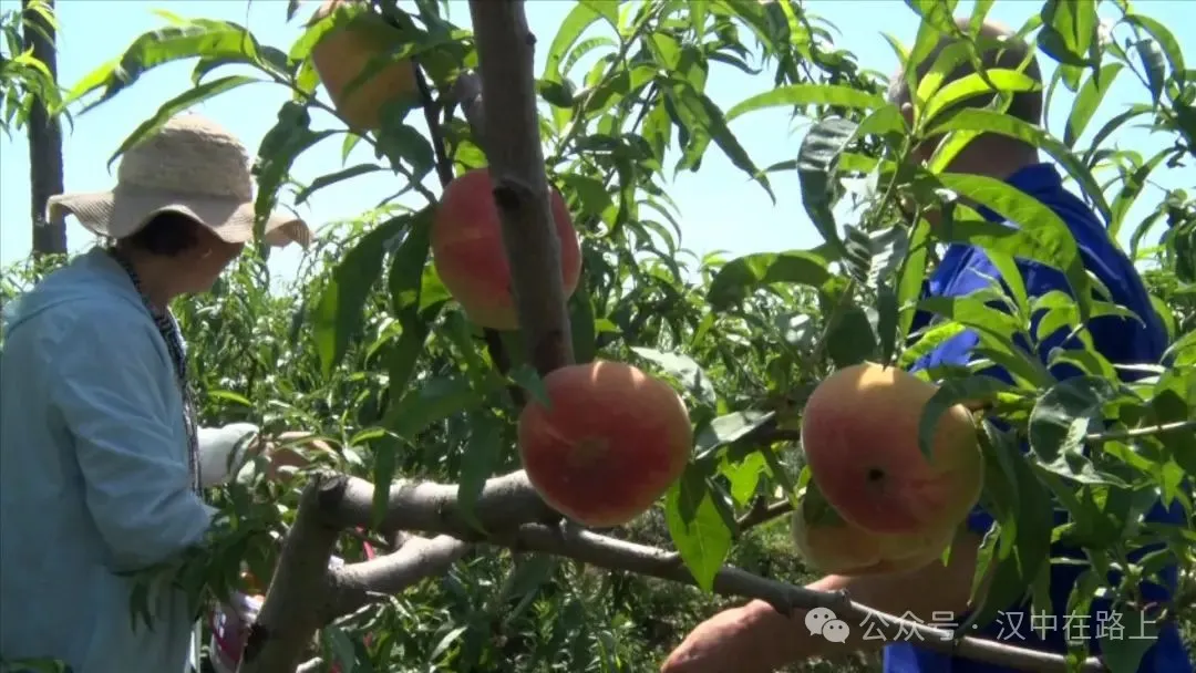 315省道漢中漢臺段實(shí)現(xiàn)全線貫通！