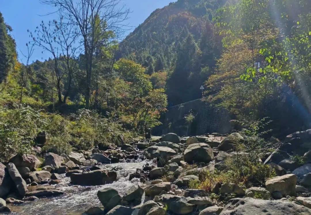 穿越時空的千年蜀道——米倉古道