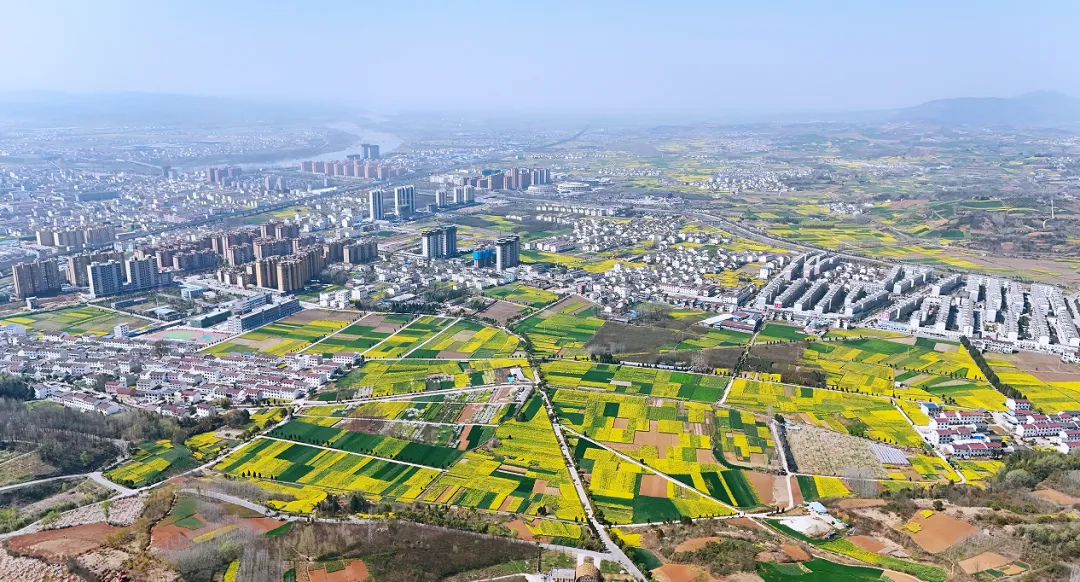 “鹮鄉(xiāng)花海 鏡遇春天” 市、縣新媒體聯(lián)動走進五彩洋州