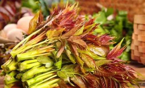 賞春花，吃春菜，把春天“吃進(jìn)肚子”