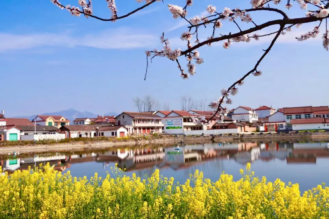 漢中“巾幗美家”示范村來(lái)啦，快看有沒(méi)有你們村~