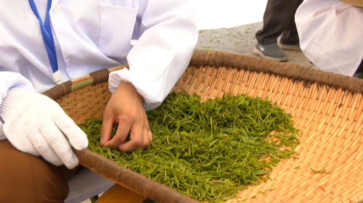 城固舉行第二屆茶農(nóng)豐收節(jié)暨全民飲茶活動(dòng)