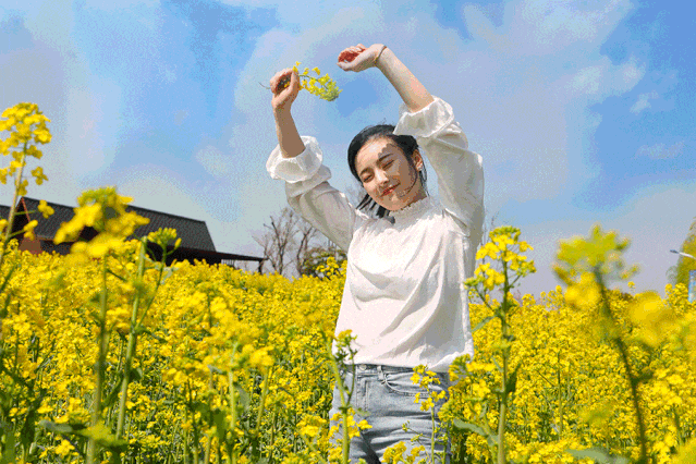 漢臺(tái)油菜花打破常規(guī)，“三色”組合，被驚艷到了！
