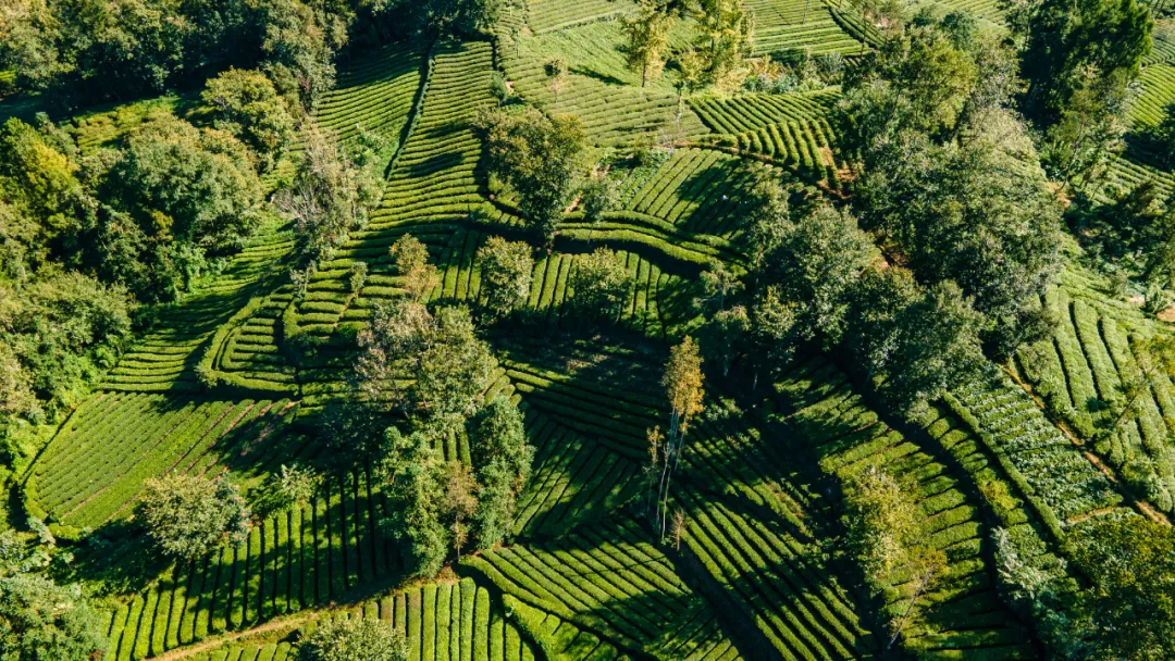 “繽紛秋季·趣游西鄉(xiāng)”網(wǎng)絡主題宣傳活動走進西鄉(xiāng)