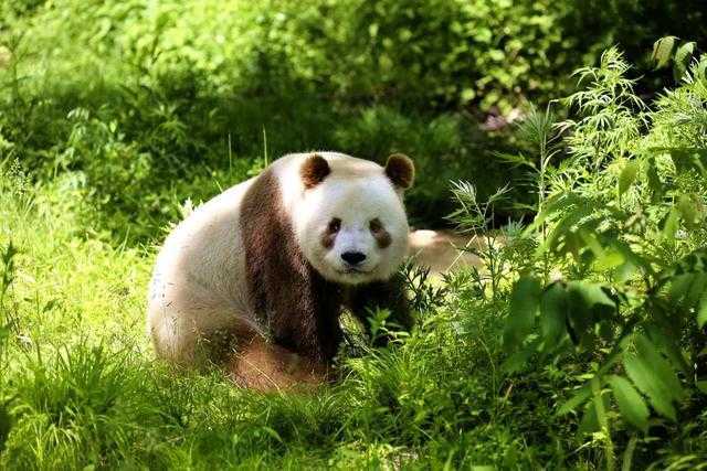 聚焦“旅居在漢中”！這場網(wǎng)上新聞發(fā)布會說了啥？