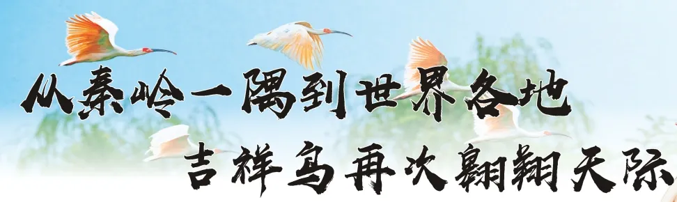 從秦嶺到世界！漢中創(chuàng)造生態(tài)奇跡！