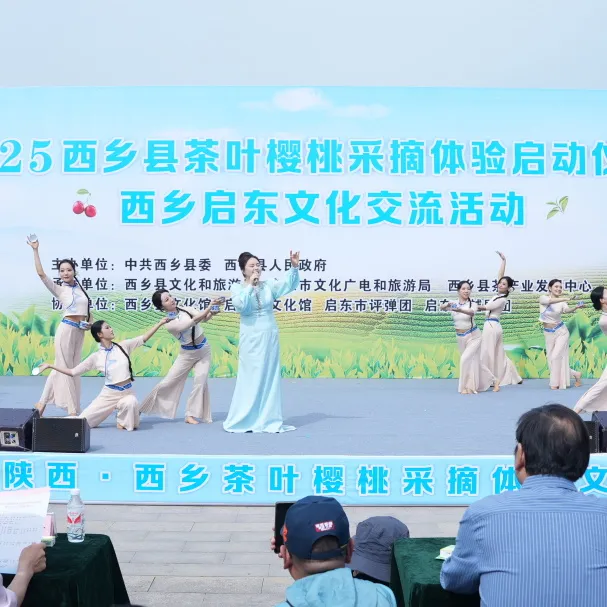 西鄉(xiāng)縣舉行2025茶葉櫻桃采摘體驗(yàn)活動暨西鄉(xiāng)—啟東文化交流活動