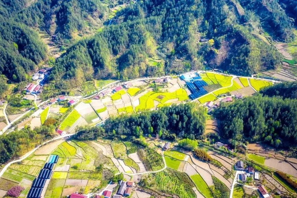 央視聚焦留壩4分鐘，緣何于此