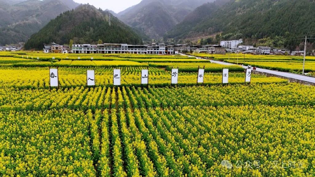 鎮(zhèn)巴春日盛宴旅游攻略，讓這個春天不留遺憾！