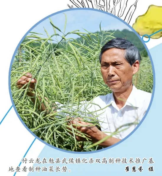中國(guó)油菜的“漢中芯”！探尋背后硬核→