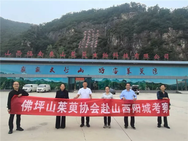 李茂武 | 更把茱萸仔細(xì)看——佛坪縣山茱萸協(xié)會(huì)赴山西陽(yáng)城交流記