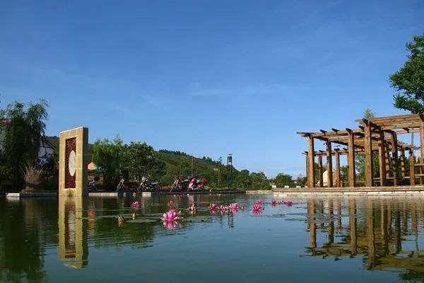 “櫻”你而來，“桃”你歡喜！西鄉(xiāng)櫻桃即將上市！
