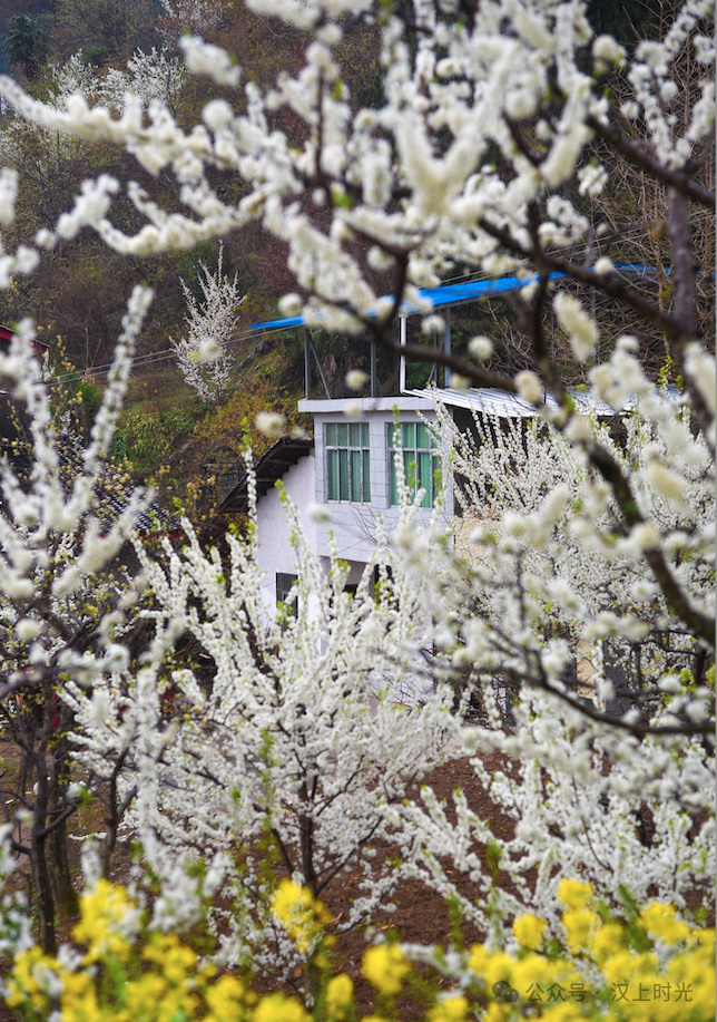 鎮(zhèn)巴春日盛宴旅游攻略，讓這個春天不留遺憾！