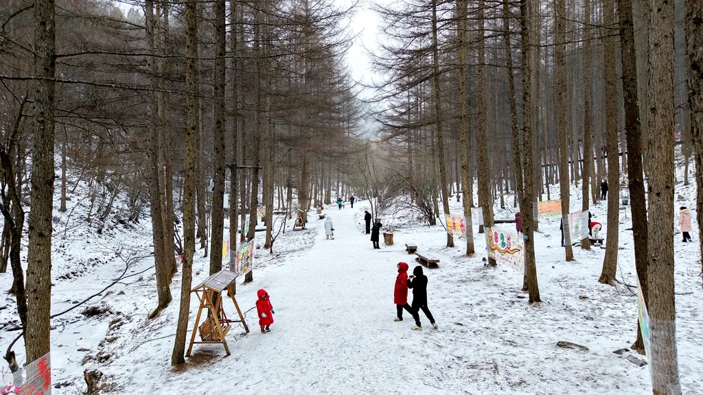 滑雪、戲雪、賞民俗！留壩景區(qū)“上才藝”