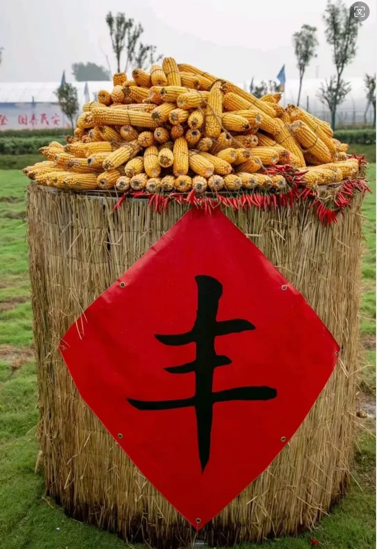 豐收了！豐收了！漢中熱鬧非凡→