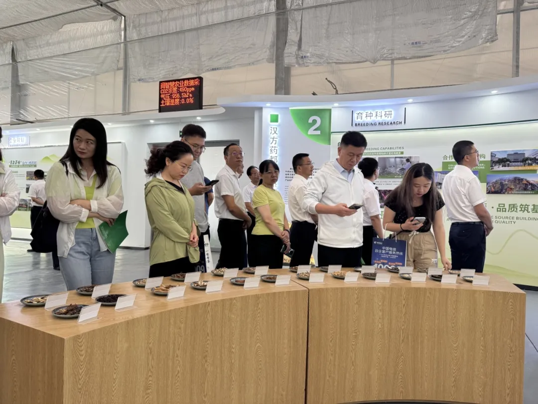 中省媒體聚焦?jié)h中新型工業(yè)！傳統(tǒng)行業(yè)煥發(fā)新生→