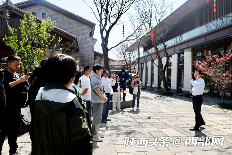生態(tài)高顏值·發(fā)展高質(zhì)量｜油菜花、牡丹花、黑稻田 漢中洋縣有機產(chǎn)業(yè)有自己的“三原色”