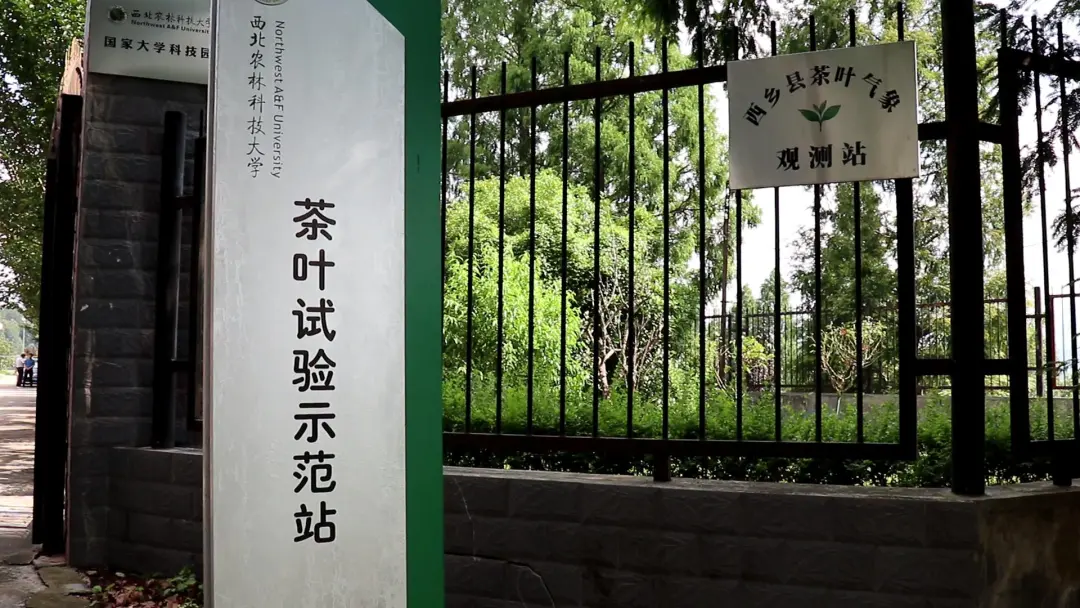 漢中首個！正式揭牌