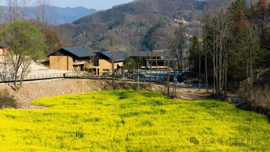 看巴山云海，住獨棟小院。走進鎮(zhèn)巴歡喜山，把自己住在風景里。