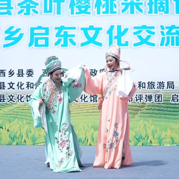 西鄉(xiāng)縣舉行2025茶葉櫻桃采摘體驗(yàn)活動暨西鄉(xiāng)—啟東文化交流活動