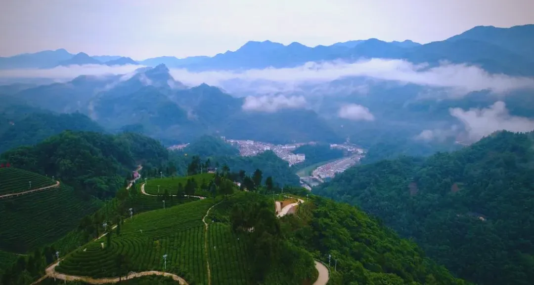 茶旅新地標(biāo)！楮溪源景區(qū)帶你開啟茶旅融合新體驗(yàn)！