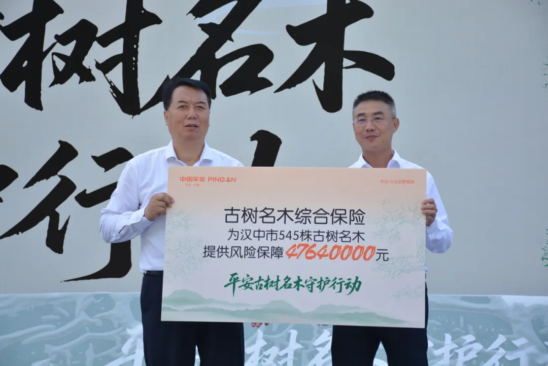 漢中545株古樹名木獲保險護航！單株最高保8萬元！