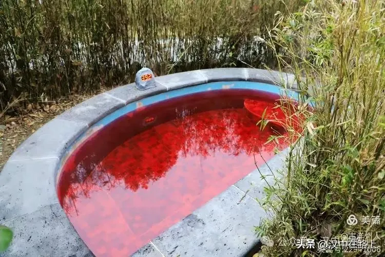 春節(jié)不遠游！漢中這幾個地方嗨翻天