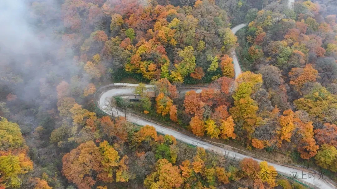 漢中龍頭山：云霧裹著秋景，像是在彩林間畫了層漸變。
