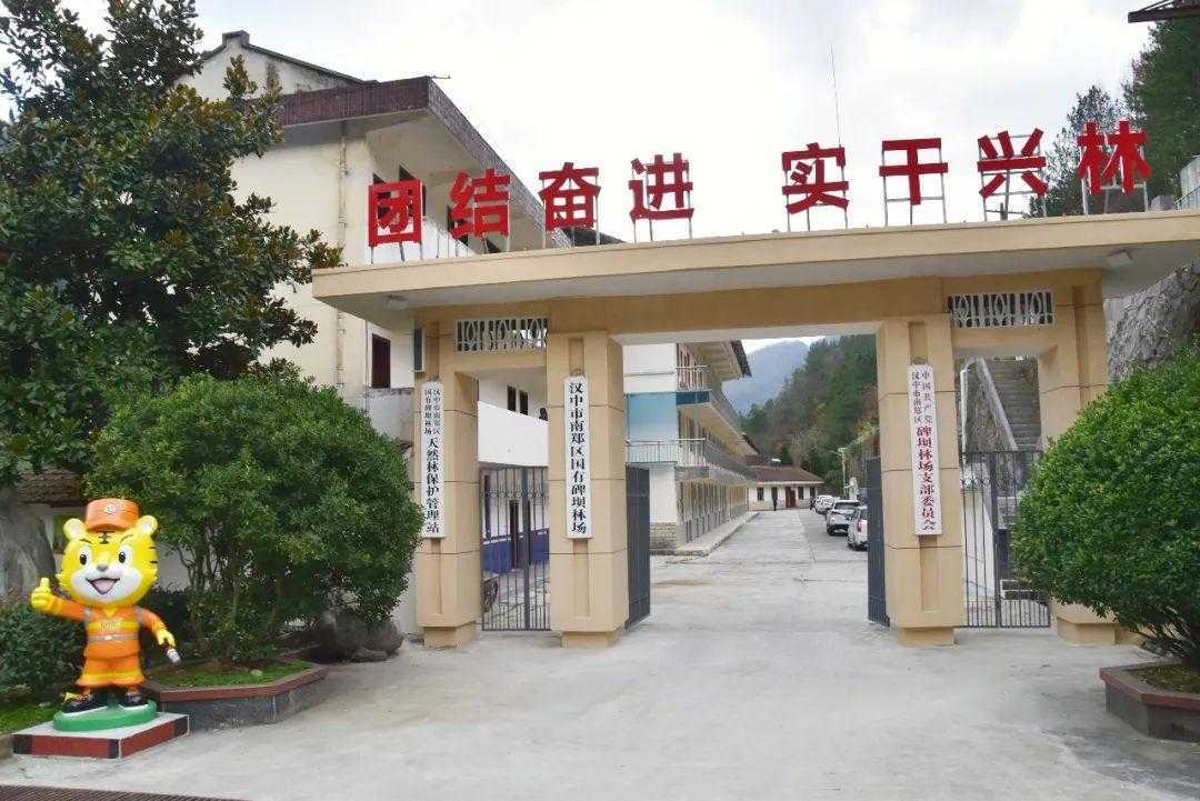 國(guó)家級(jí)榮譽(yù)！漢中這個(gè)林場(chǎng)入選→