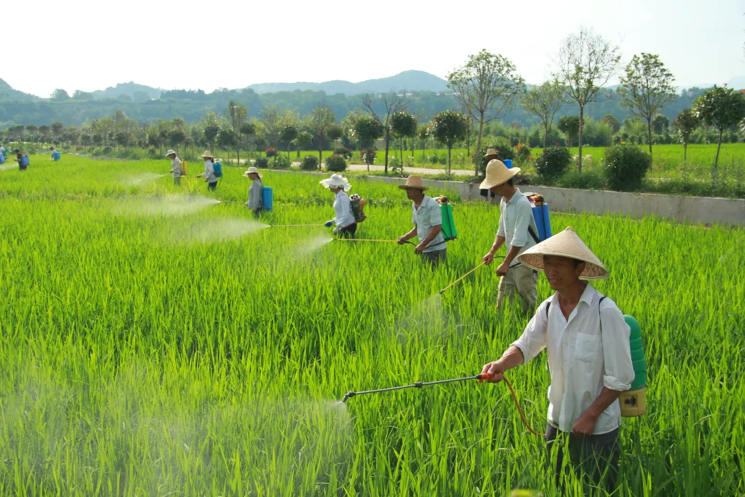 央視鏡頭對(duì)準(zhǔn)漢中！解鎖朱鹮故鄉(xiāng)鄉(xiāng)村振興的“生態(tài)密碼”→