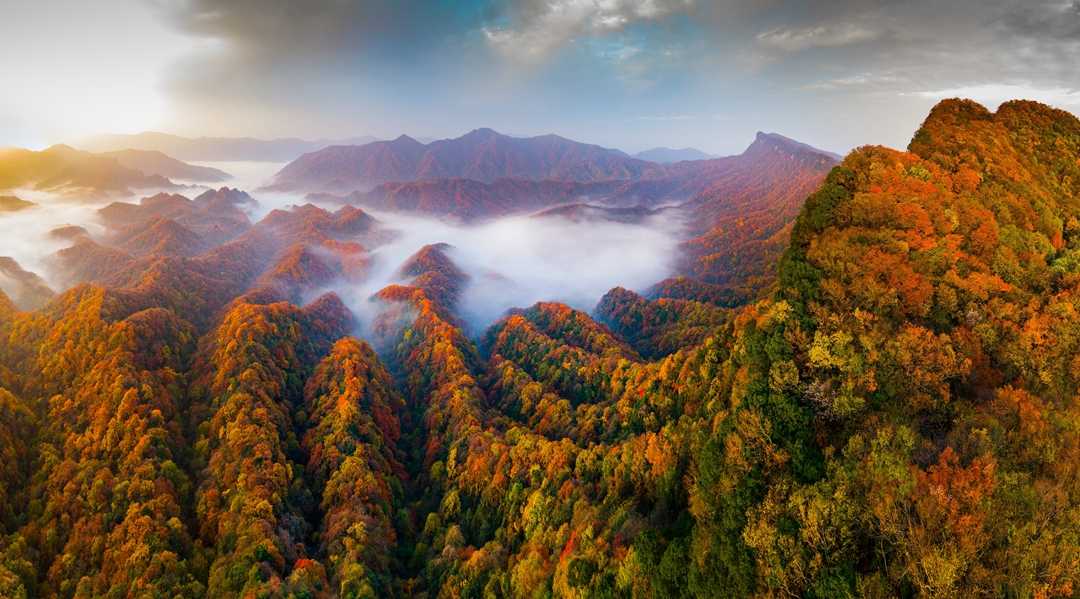 光霧山國家5A級(jí)旅游景區(qū)駐漢中接待中心正式揭牌
