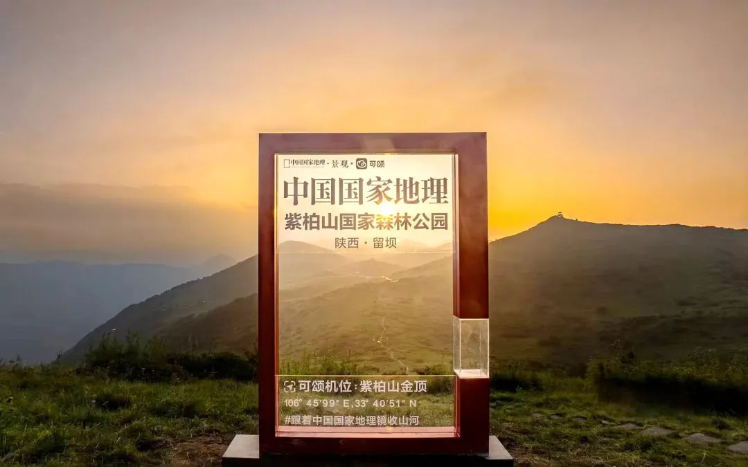 上半場，穩(wěn)中有進向新向好！