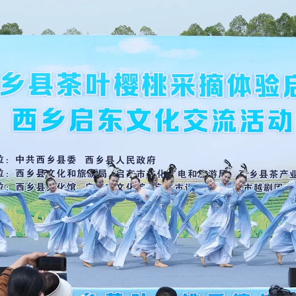 西鄉(xiāng)縣舉行2025茶葉櫻桃采摘體驗(yàn)活動暨西鄉(xiāng)—啟東文化交流活動