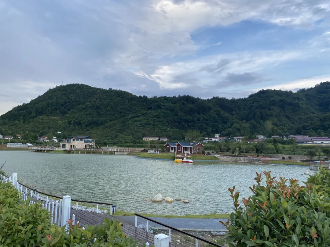 綠色致富！佛坪林麝養(yǎng)殖闖出雙贏鄉(xiāng)村振興路！