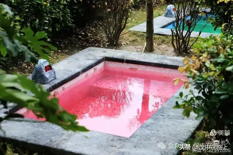 春節(jié)不遠游！漢中這幾個地方嗨翻天