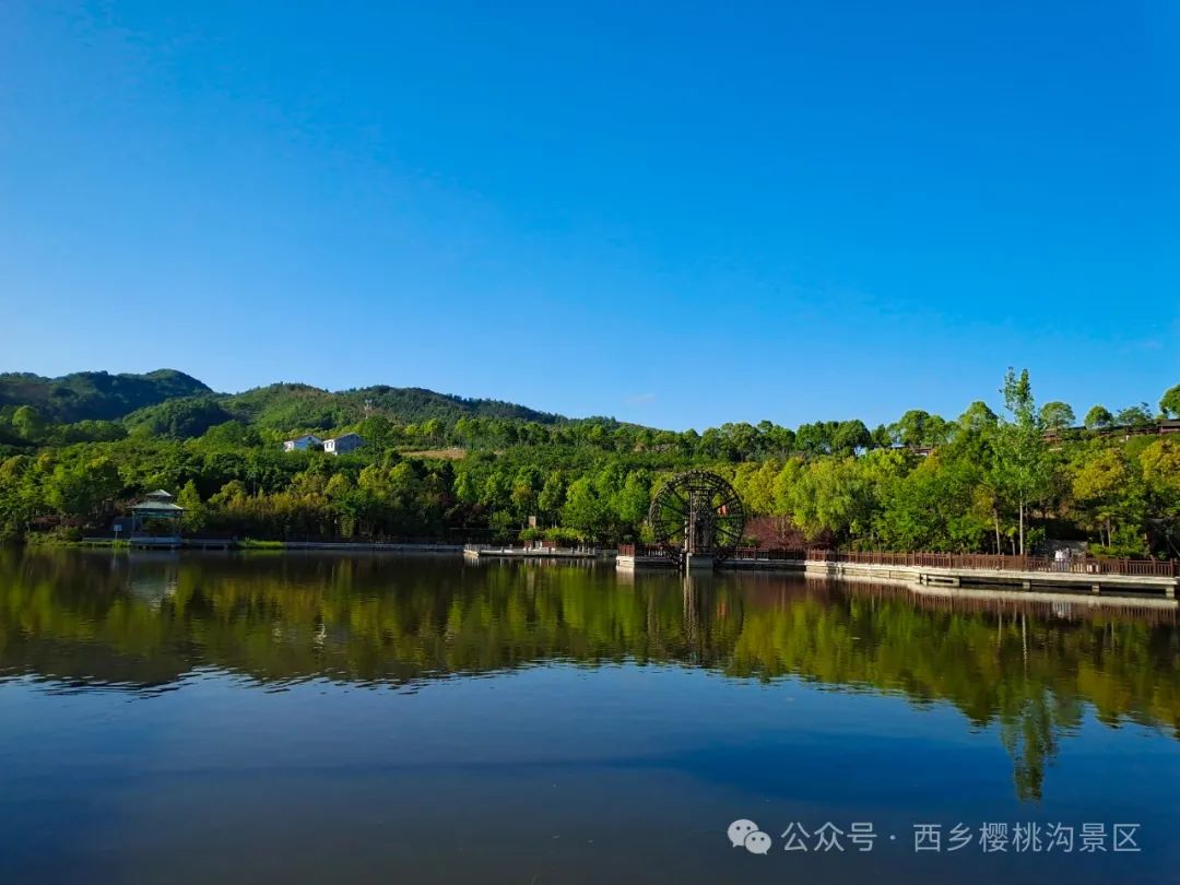 “櫻”你而來，“桃”你歡喜！西鄉(xiāng)櫻桃即將上市！