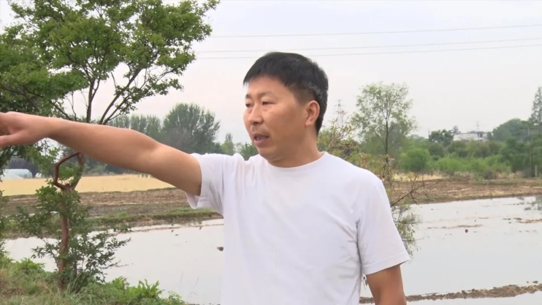 漢臺(tái)：“秧”不誤時(shí) “水”盡其用，科學(xué)守護(hù)“糧袋子”