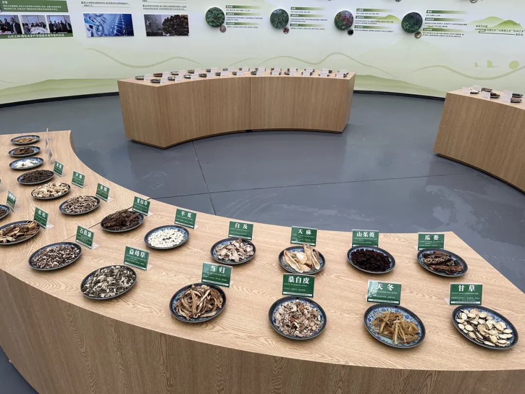 全省中藥材良種繁育基地！漢臺一企業(yè)入選！
