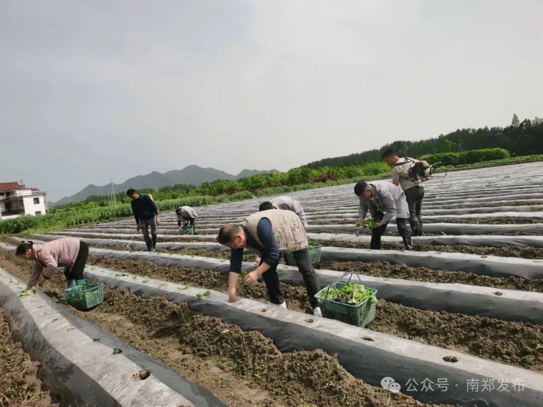 漢中這些地方，藏著令人向往的滿分初夏時光！
